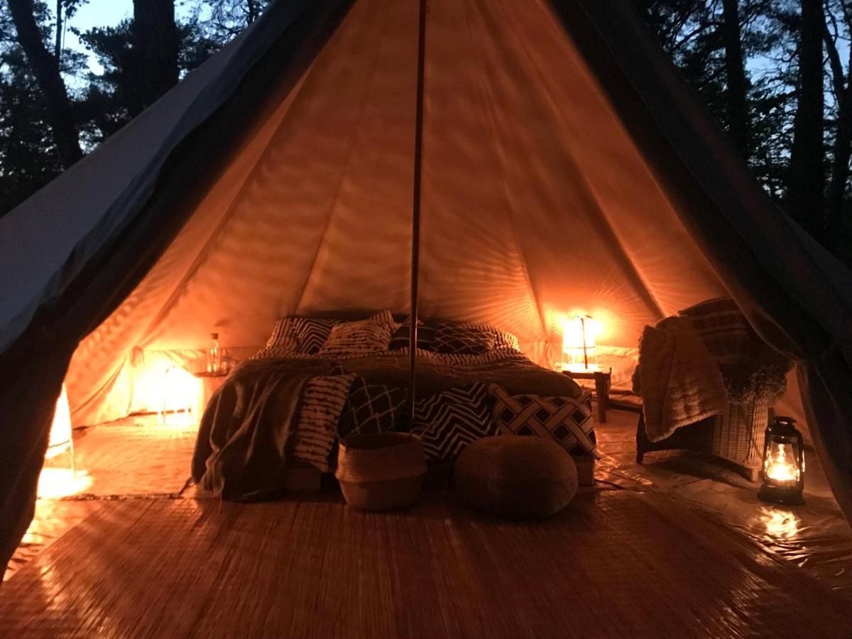 Forest Glamping Вермде Екстер'єр фото